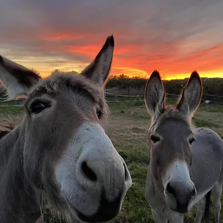בית נופש Family-friendly In *