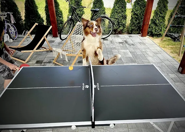 Family-friendly In מילנקו