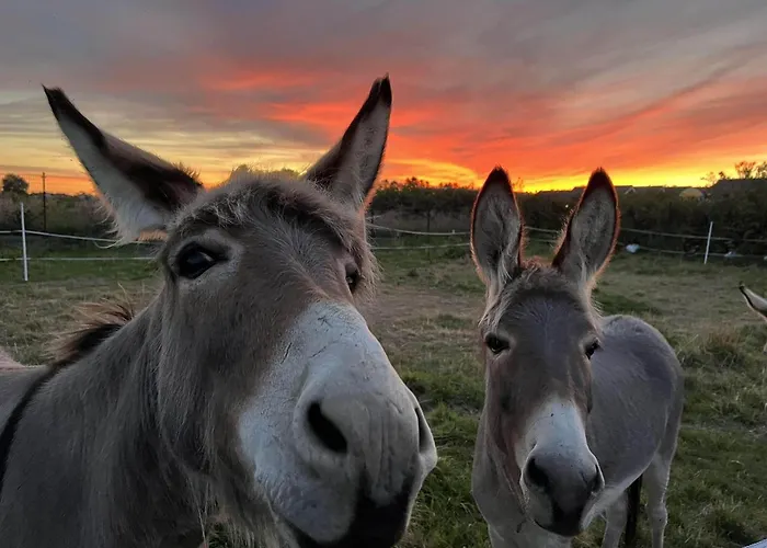 בית נופש Family-friendly In *