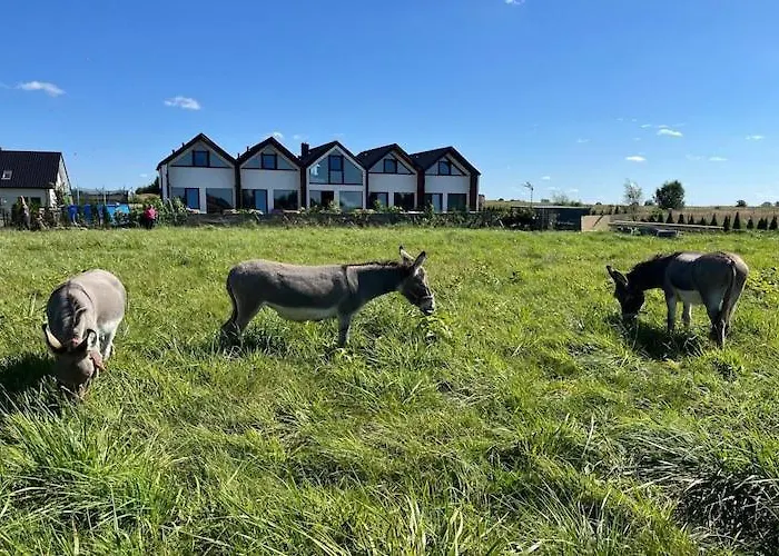 Family-friendly In בית נופש